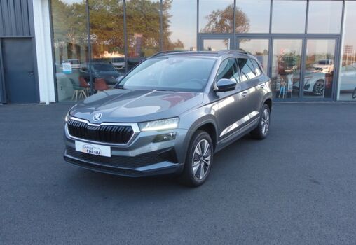 Skoda Karoq 2 litres TDI 115cv DSG7 Business